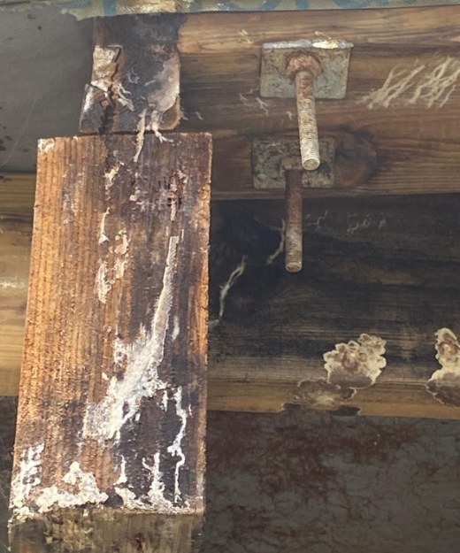 Close-up of a rotted joist end and corroded fixing bolt
